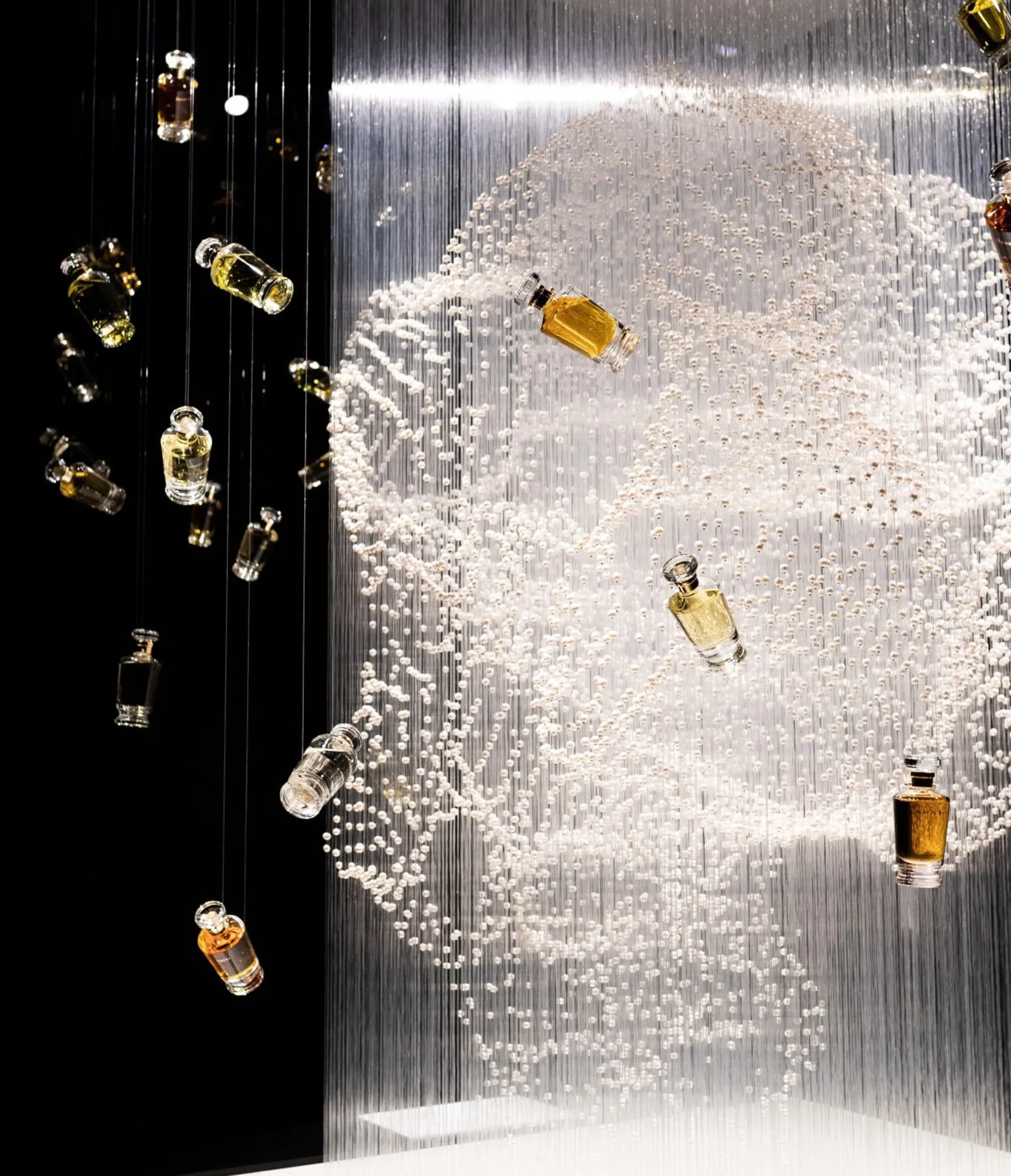 Xiaojing Yan Henry Jacques min